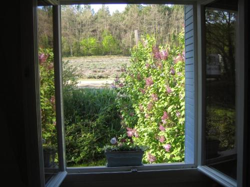 Rochefort-en-Valdaine Apartment | Les Théolats - 4 personnes