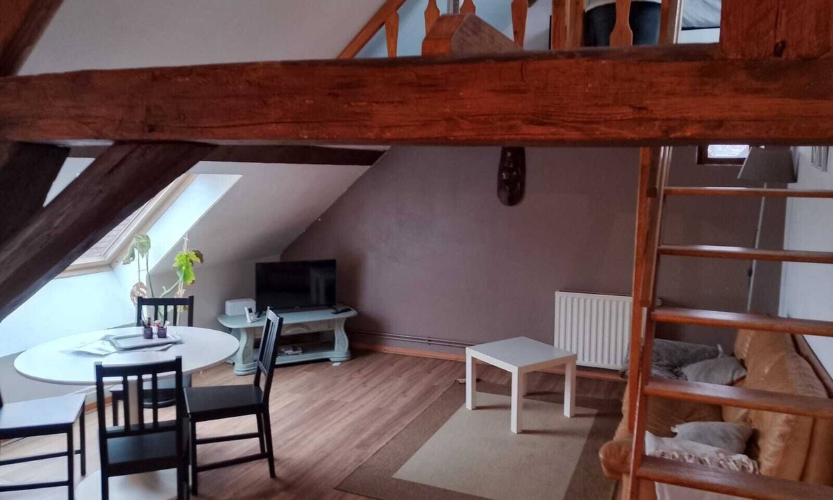 Ecuelles Apartment | LOCATED ON THE BANKS OF THE SAONE, THIS APARTMENT IS IDEAL FOR DISCOVERING THE REGION.