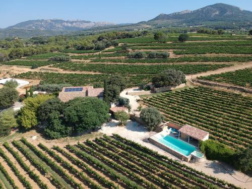 Beaumes-de-Venise Bed & Breakfast | Lou Bel Endre - Mas Evajade