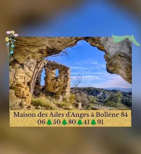 Bollene Bed & Breakfast | Maison des ailes d Anges
