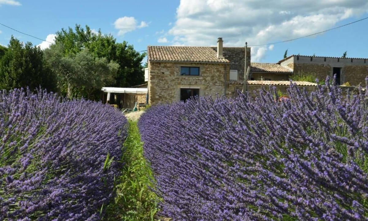 Valreas House | Mas de L'amme