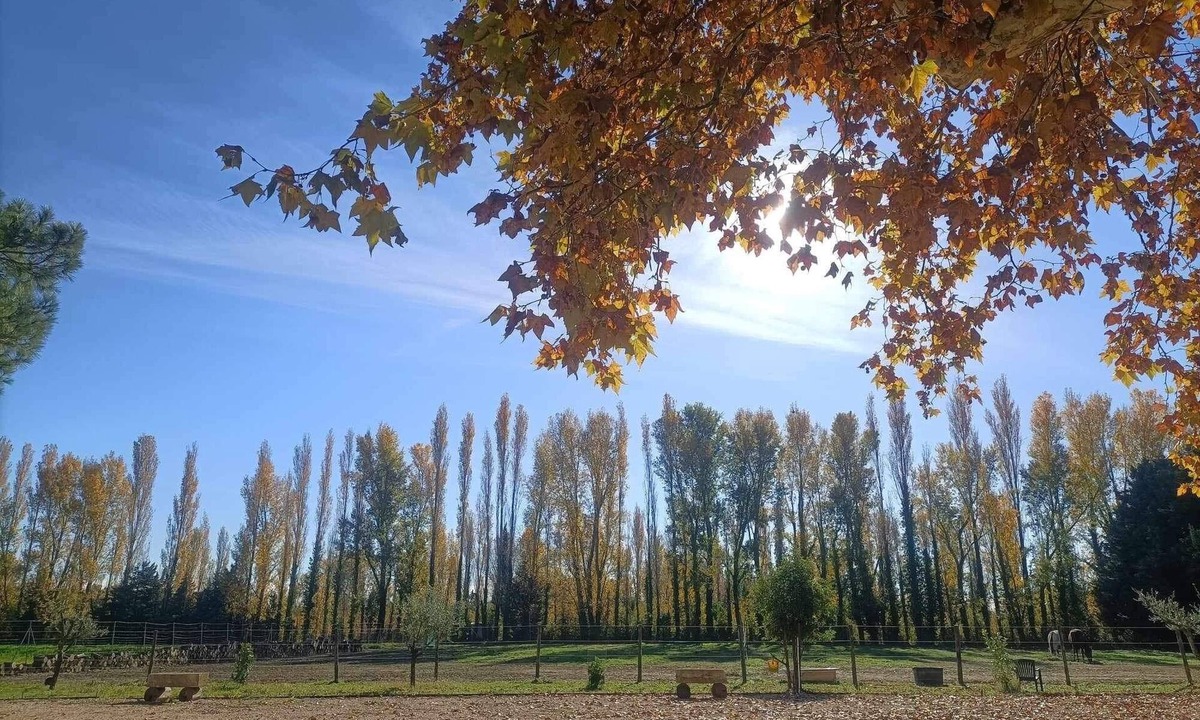 Mornas House | Mas en Pierre du Xvième Rénové au Cœur de la Provence, Nature et Calme Garantis