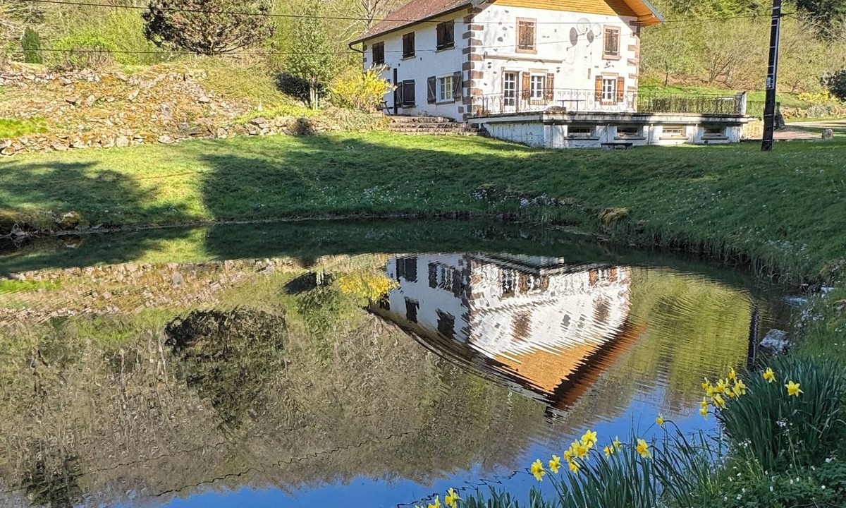 Servance-Miellin House | Nature estate with private pond and sauna - sleeps 10 - absolute calm 🌲