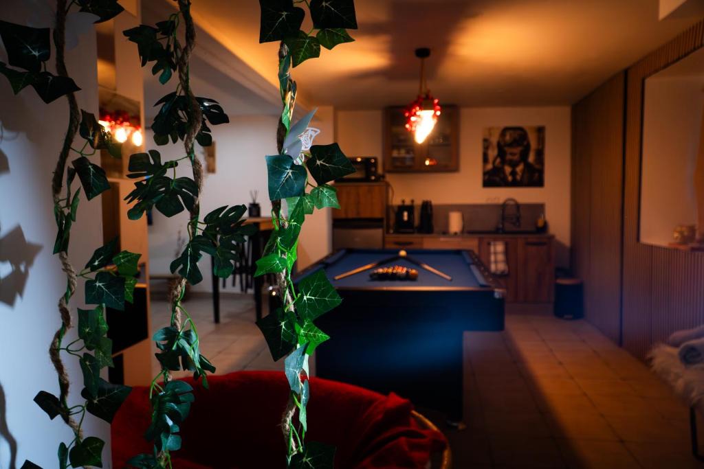 Vieux-Charmont Apartment | Perle d'eau-Love Room-Jacuzzi-Sauna-Proche Montbéliard et Belfort
