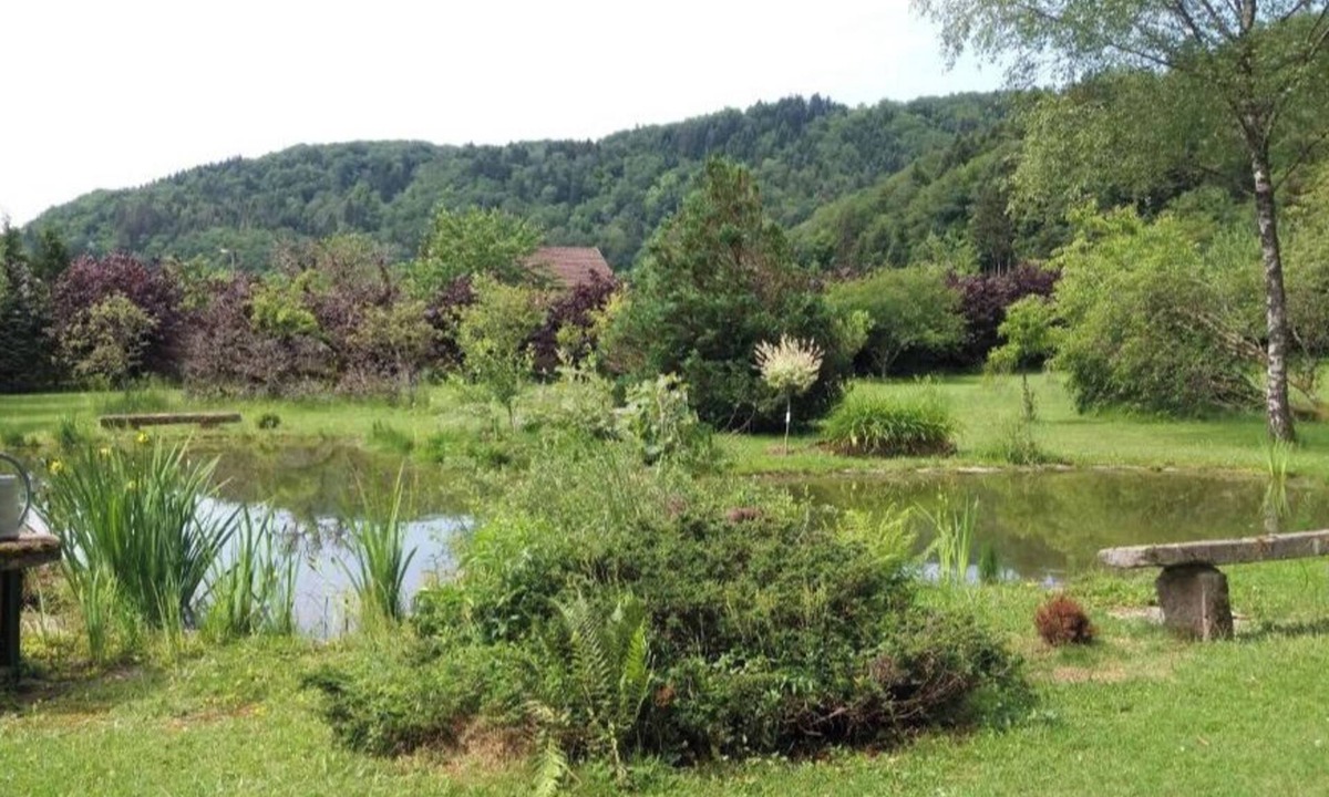 Faucogney-et-la-Mer Apartment | Pied des Milles Etang - Les Capucins