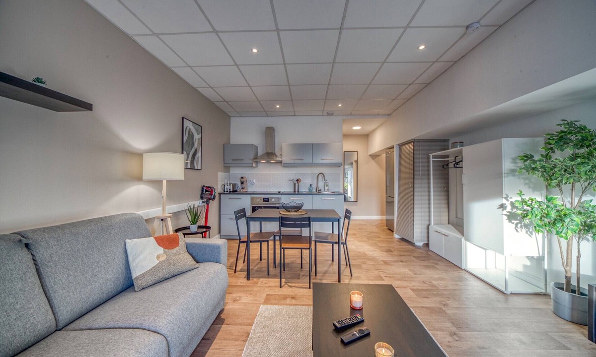 Saint-Martin-d'Heres Apartment | Premium 1-Bedroom Apartment – Cozy & Comfortable with Wi-Fi and Air Conditioning