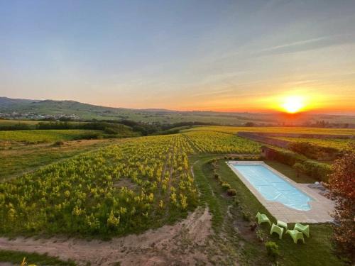 Maconnais Beaujolais Agglomeration Apartment | Saint-Amour domaine de la vigne