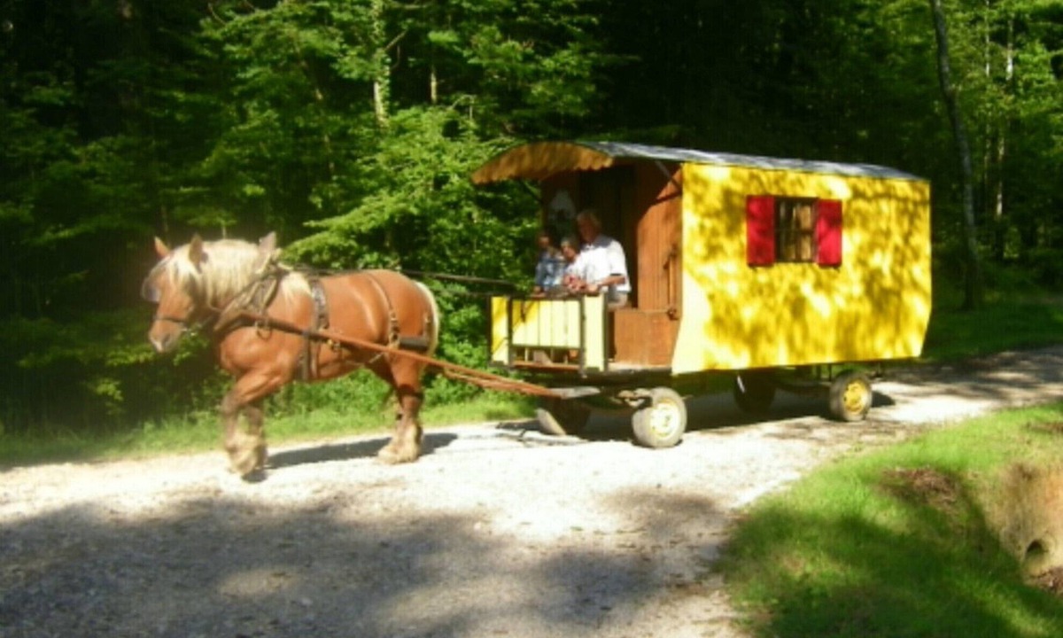 Ecleux House | STAYS IN ROULOTTE WITH HORSE "DISCOVERY OF THE VAL OF LOVE" AND ROOMS D HOTES