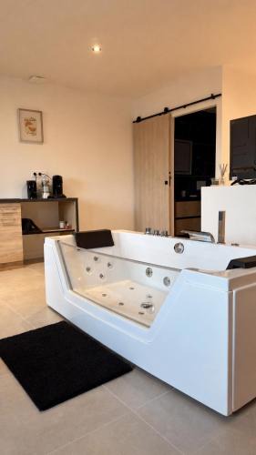 La Cote-Saint-Andre Apartment | Studio Cocon & Bulle