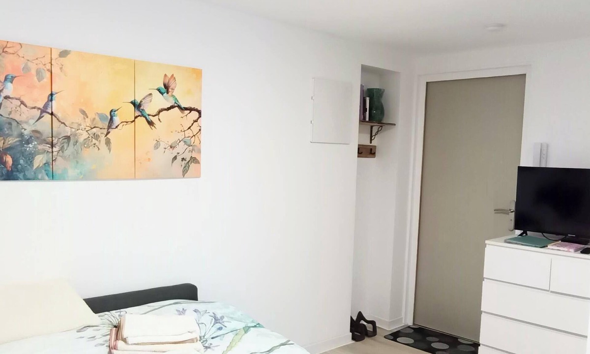 Luxeuil-les-Bains Apartment | STUDIO COLIBRI HISTORICAL CENTER
