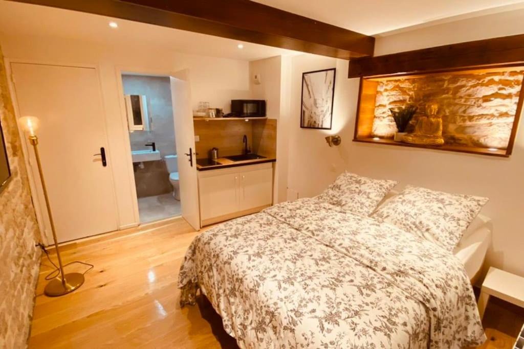Besancon Old Town Apartment | Studio rénové avec patio, coeur du centre ville