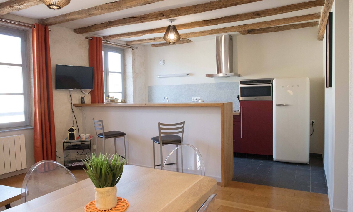 Tournus Apartment | Superb apartment in the city center
