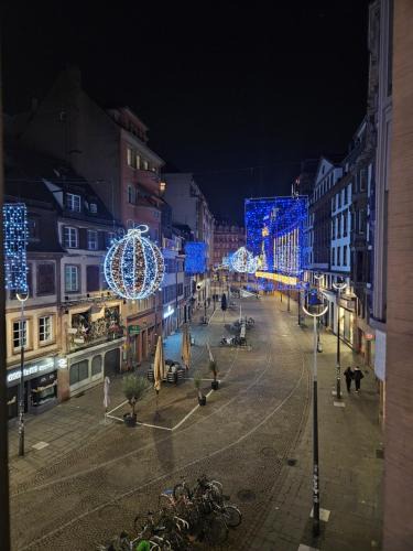 City-Centre - Petite France Apartment | Superbe appartement 140 m2 plein centre-ville de Strasbourg