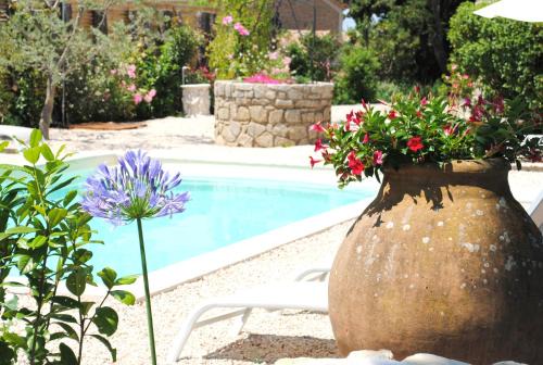Vacqueyras Bed & Breakfast | Terre de Bacchus