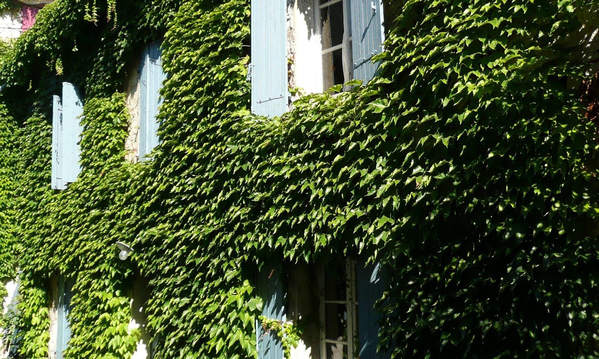 Saint-Didier House | The other side of the washhouse