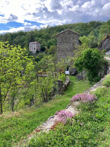 Vernosc-les-Annonay House | Votre gite dans l'ancienne Huilerie de Tourtel