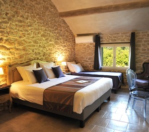 Provence The Heart Of Vines 