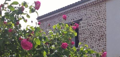 Hauterives House | Ô Joly Valois