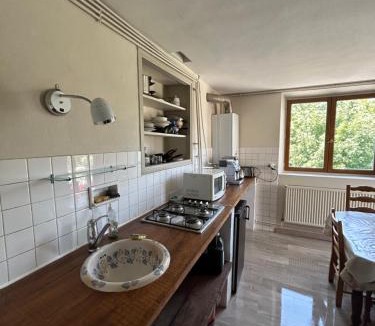 Vizille Apartment | 100metres du château au 116 Rue de la République vizille