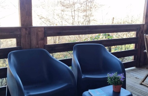 Peyrignac Ski Chalet | 74 Chalet Les Bleuets 40m² Covered terrace + television + dishwasher 5 persons