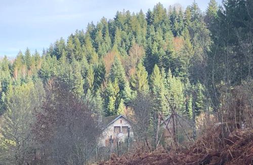 Saint-Sauveur House | A l'orée de soi - Chambres d'hôtes éco responsables au pied des Vosges - Maison forestière de la Soie
