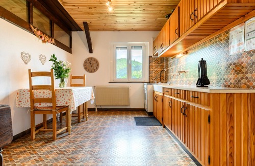 Breitenbach-Haut-Rhin Apartment | Apartment “Au Petit Chamois” with Mountain View, Private Garden and Wi-Fi