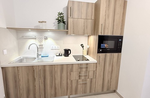 Aubenas Apartment | Apartment-Superior-Ensuite with Shower