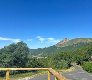 Saint-Jacques-des-Blats Apartment | appartement 10 couchages le lioran bord rando/ski