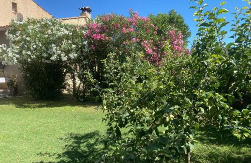 Taillades Apartment | Appartement au pied du Luberon