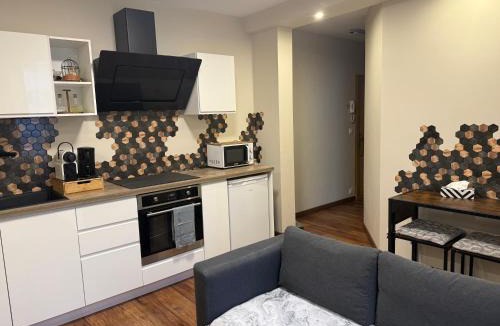 Chalon-sur-Saone Apartment | Appartement avec jacuzzi