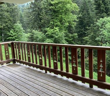 Laveissiere Ski Chalet | appartement Chalet 15 puy du rocher