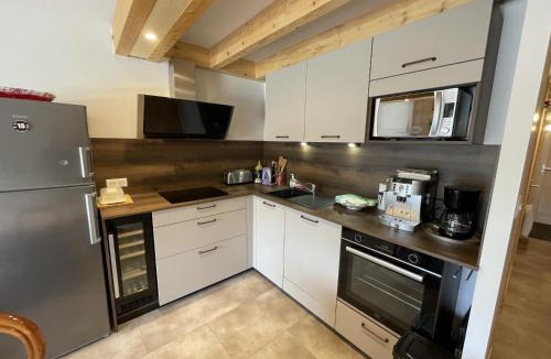 Laveissiere Ski Chalet | appartement deux chambres residence hermines
