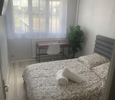 Saint-Martin-d'Heres Apartment | Appartement entier climatisé - parking privé