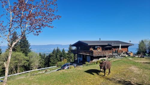 Saxel Apartment | Appartement Les Montagnes de Saxel