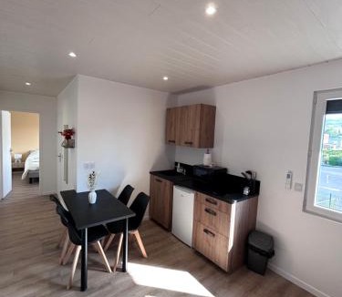 Cournon-dʼAuvergne Apartment | Appartement proche zenith "mizo"