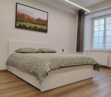 Arbois Apartment | Appartement spacieux, centre d'Arbois