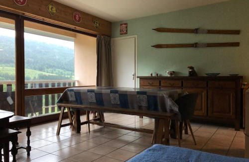 Lelex Apartment | Appartement spacieux tout confort pied des pistes