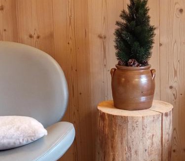 Champagnole Apartment | Au Mont Chablis