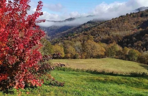 Cassaniouze House | Authentic Gite, in the middle of Cantal nature reserve with swimming pool, pet friendly