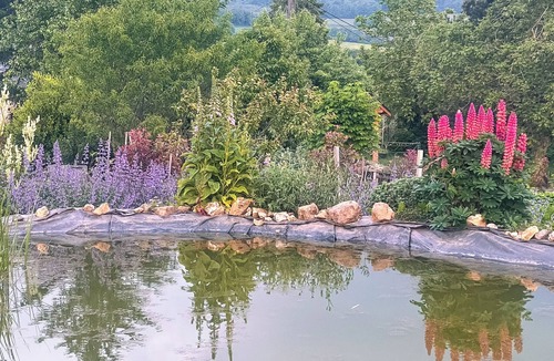 Larochemillay Bed & Breakfast | B&B at Résidence des Artistes. Luxurious, very quiet residence with excellent cuisine