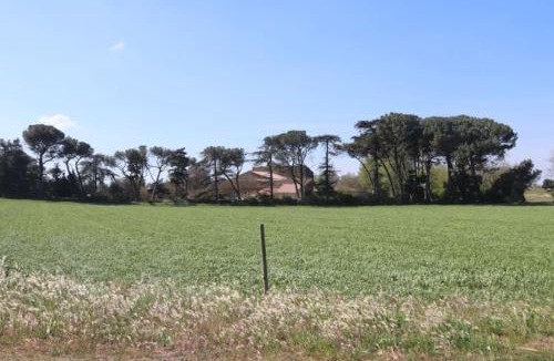 Saint-Paul-Trois-Chateaux House | Bastide Juliana