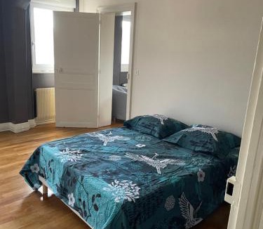 Moulins Apartment | Bel appartement 1 chambre n9
