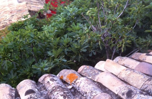 Aurel Cottage | Bergerie des Marquisans - 5 people, in the heart of nature, 2 km from AUREL.