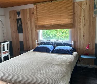 Gragnague House | Blue fish