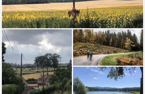 Vandenesse Bed & Breakfast | C'est Si Bon