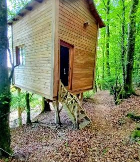 Glux-en-Glenne Other | Cabane du Druide Domaine de Fangorn