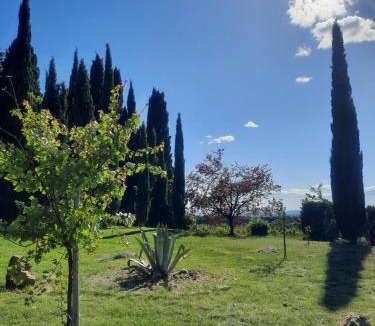 Sablet Apartment | Calluna - Le Mas des Deux Tilleuls