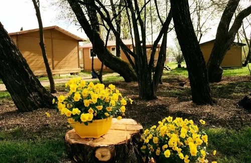 Belfort Ski Chalet | Campsite L'Etang des Forges* - Chalet Moréa 3 Rooms 5 People