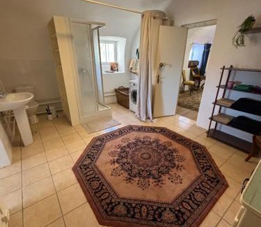 Saint-Martin-des-Plains Apartment | Château de Béthel