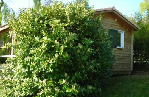 Darbres Other | Chalet 22m² avec Terrasse pour 5 Pers. - API-1-52-629